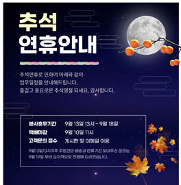 �̸����� ��Ų �̹���