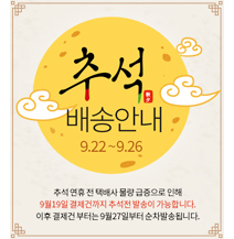 �̸����� ��Ų �̹���