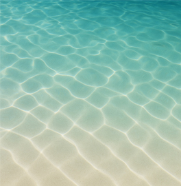 ��ǰ �����